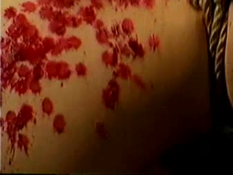 JAPCINEMA - Jabaku 40 JAPCINEMA - Jabaku 40